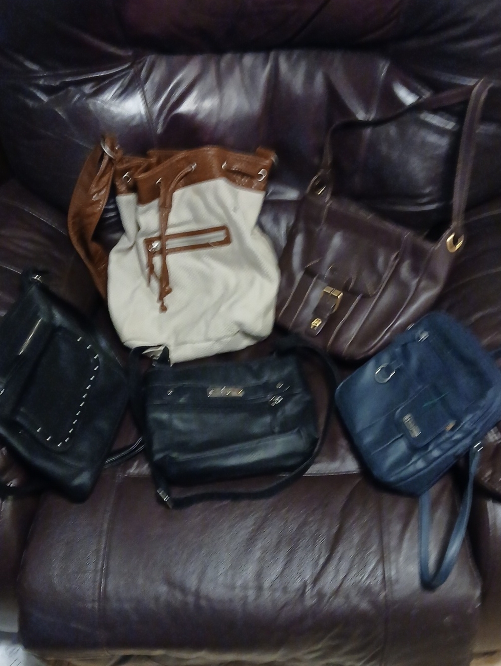 Women’s Bag Lot Of 5 Purses